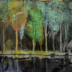 Night in the Forest